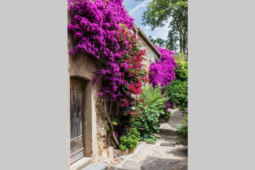 Coquet 2 Pieces Coeur Vieil Antibes Apartment Exterior photo